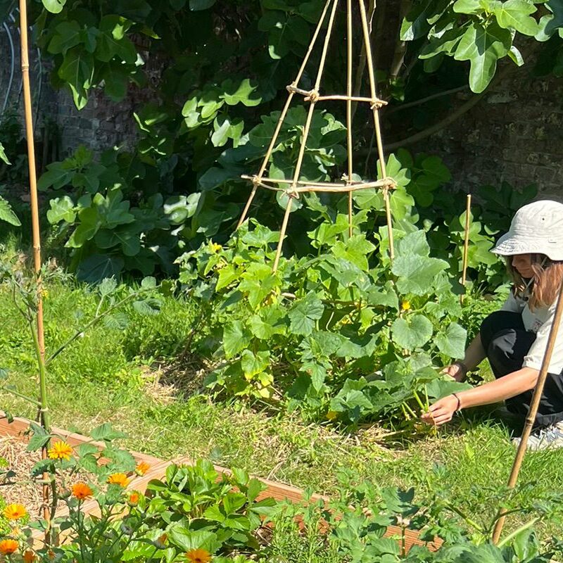 Jardin de Rome
