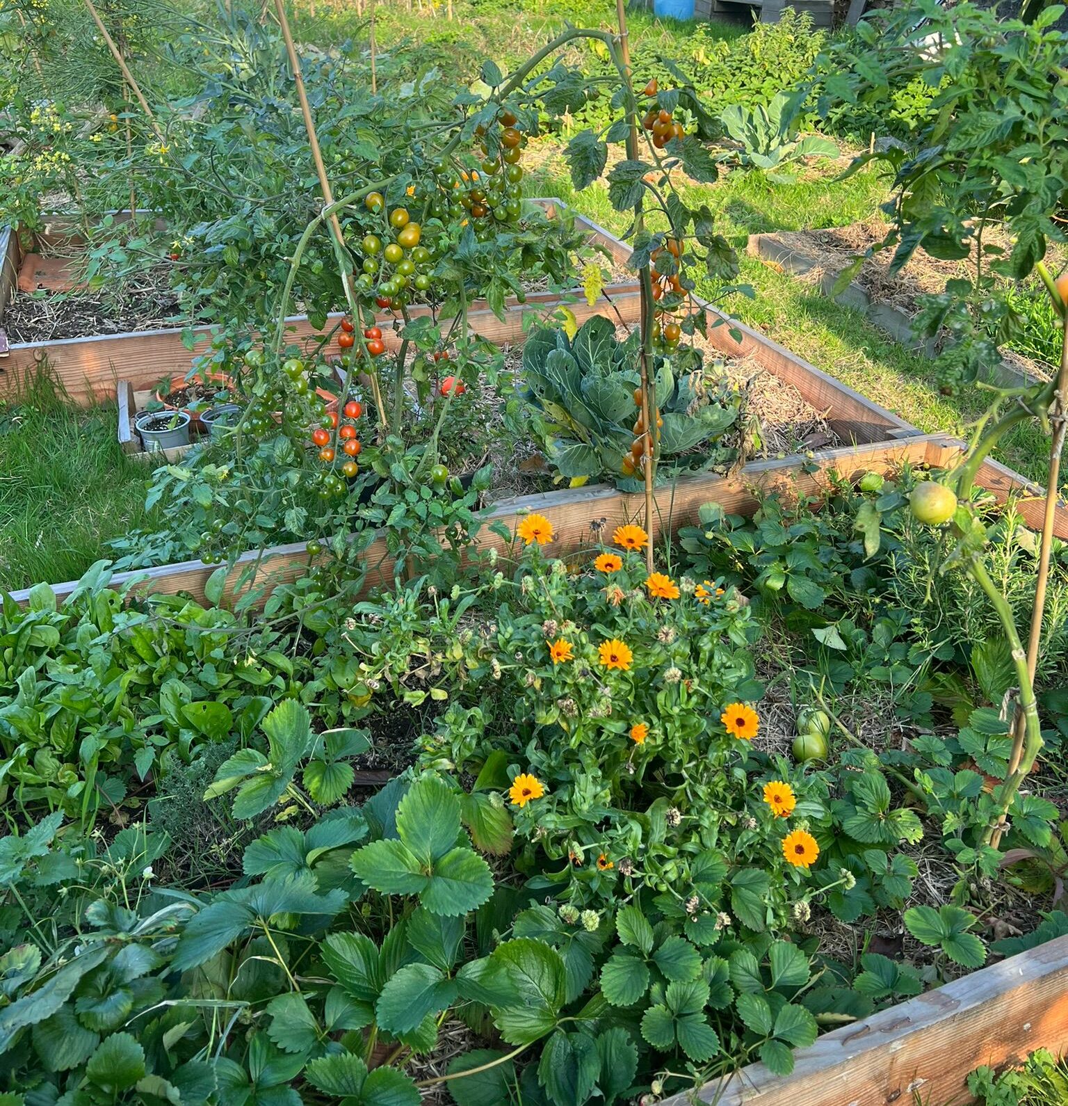 Jardin familial de La Maison du Jardin