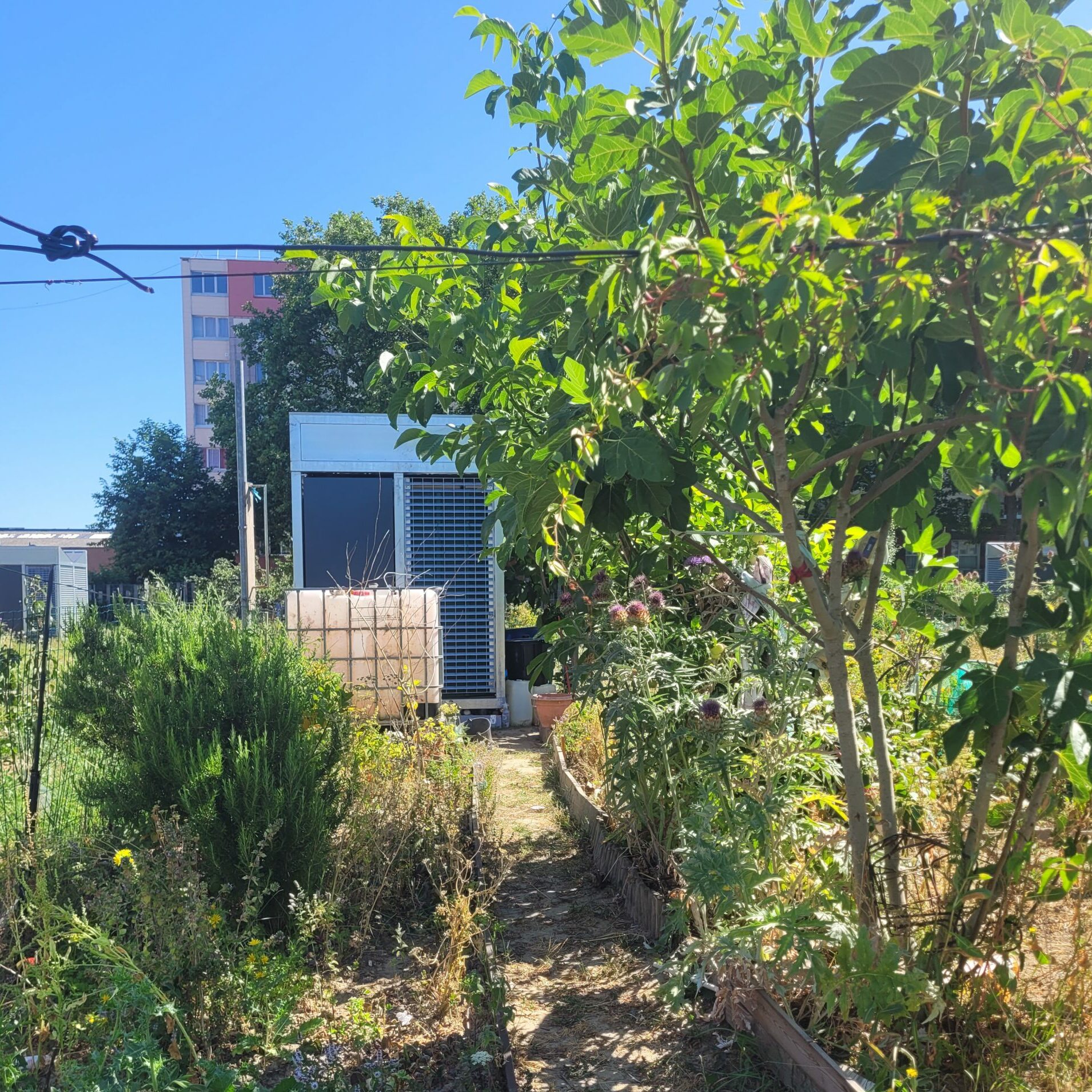 Jardin de 3 Ponts 2