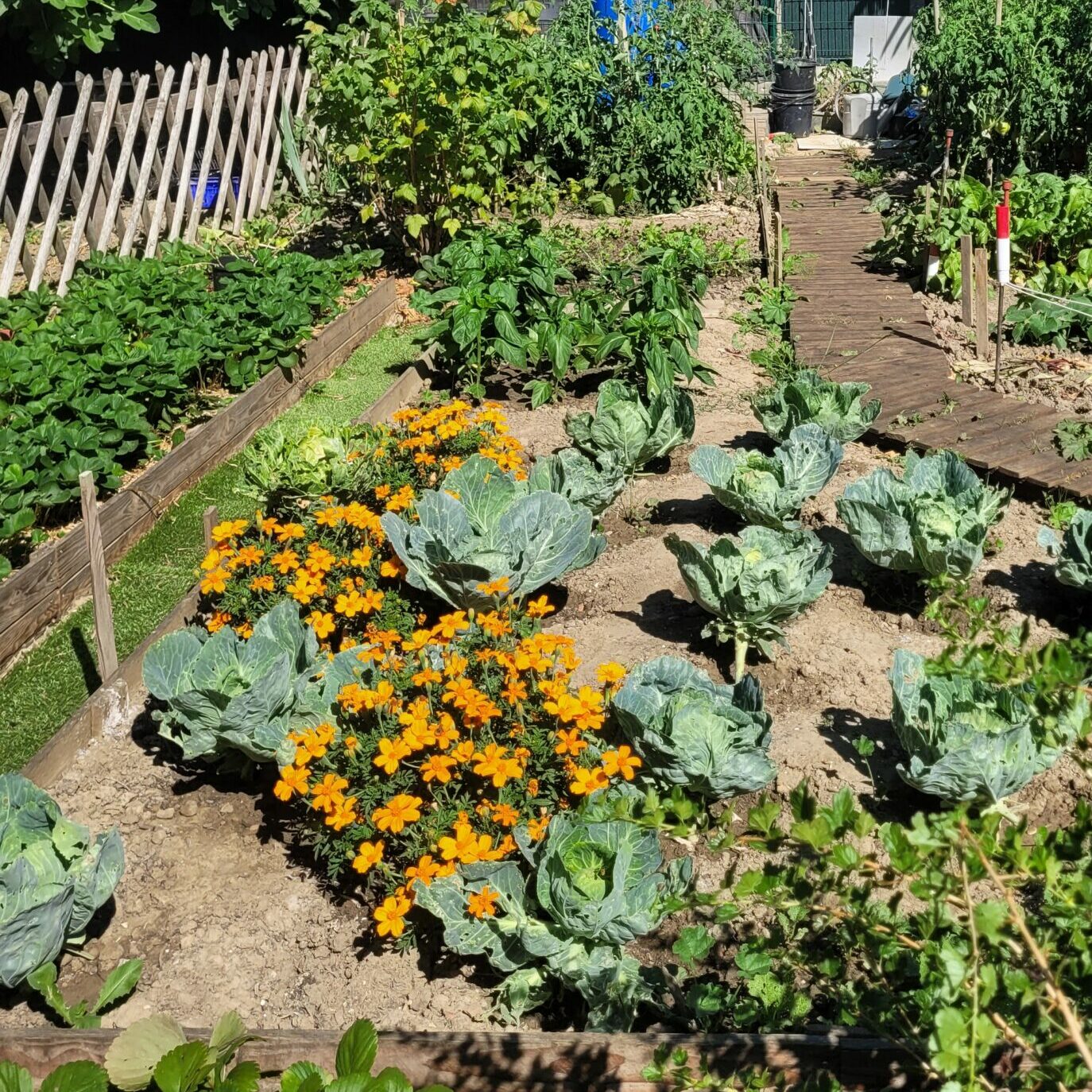 Jardin de Monge
