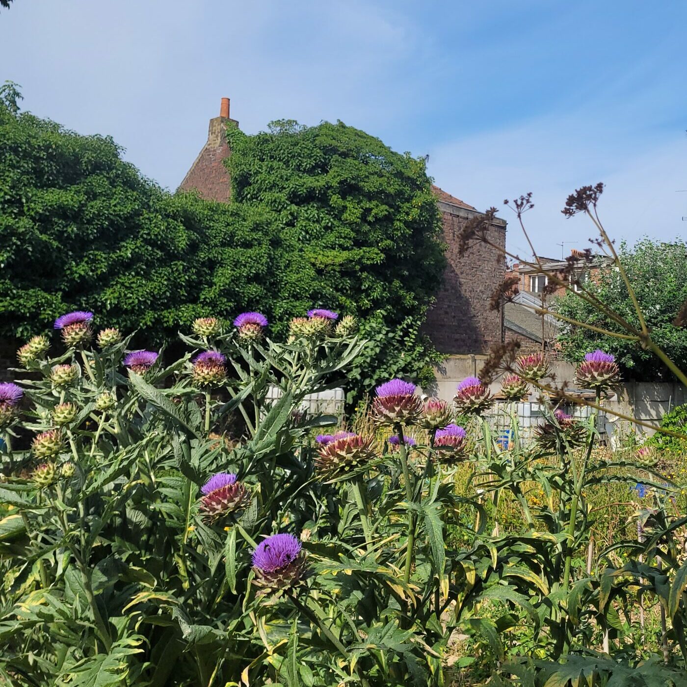 Jardin de l’Ouest
