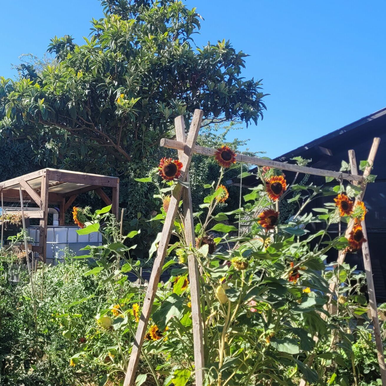 Jardin de Rome
