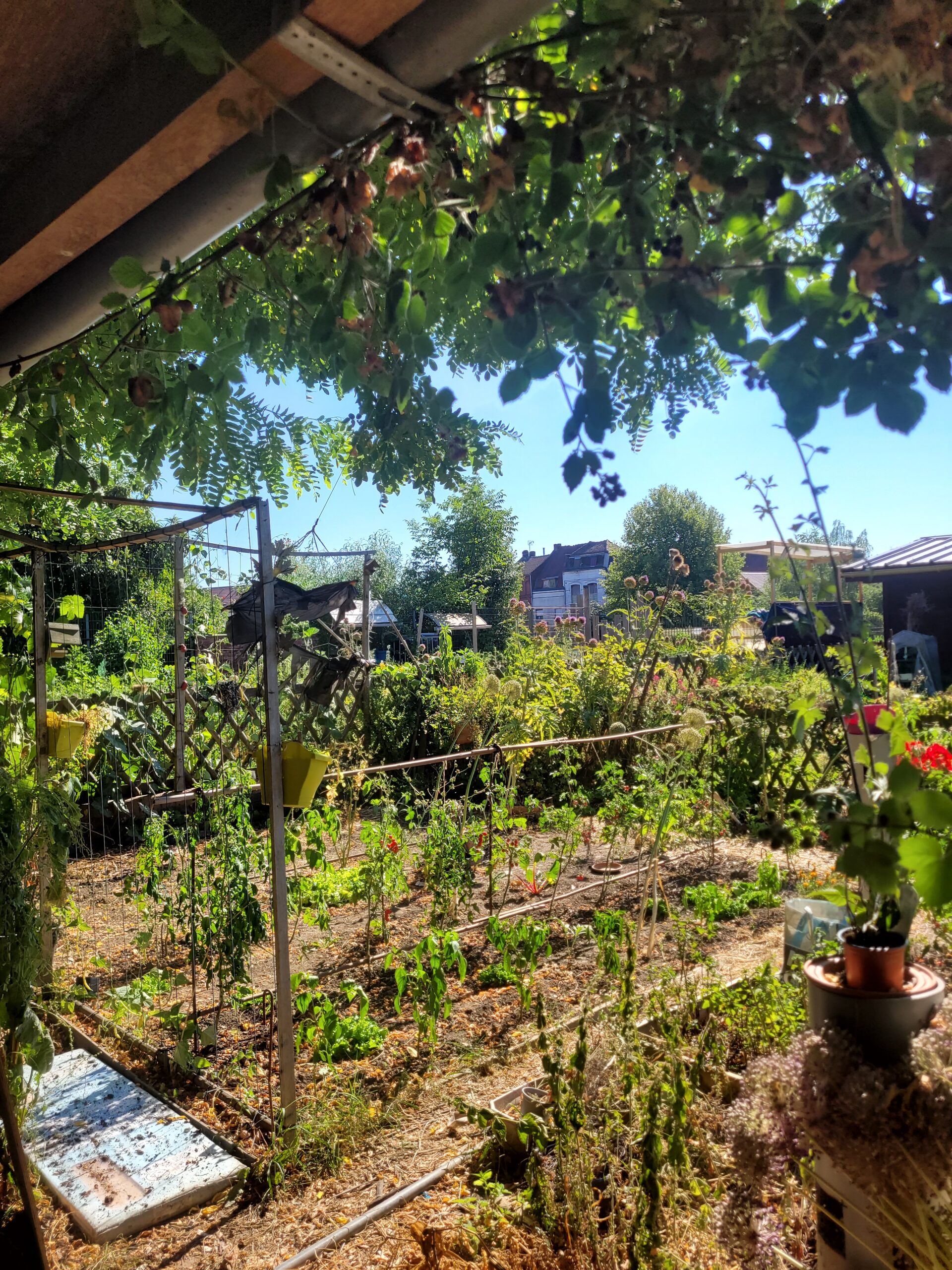 Jardin du Vivier